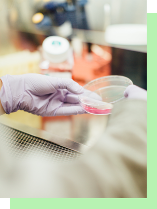 Research & development image