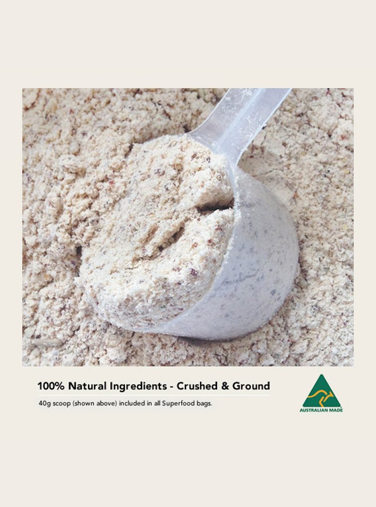 Coconut Vegan 180 Nutrition Protein 600g